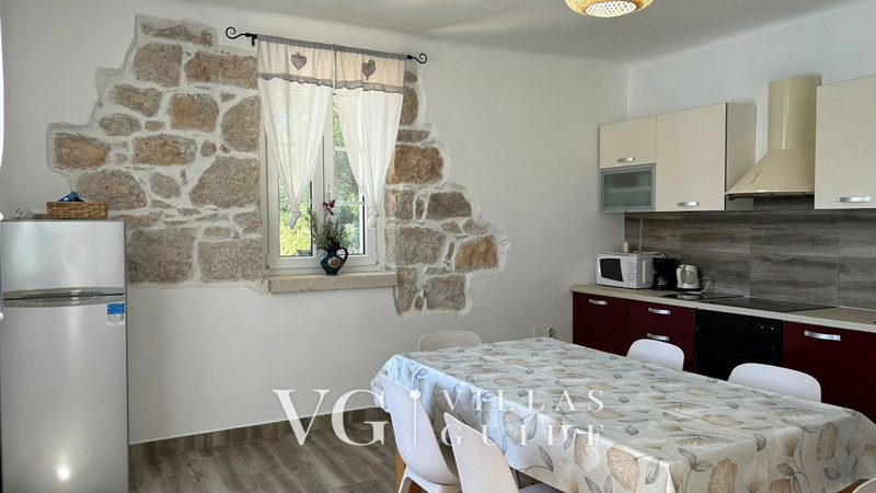 Villa Pantovcak with stunning views