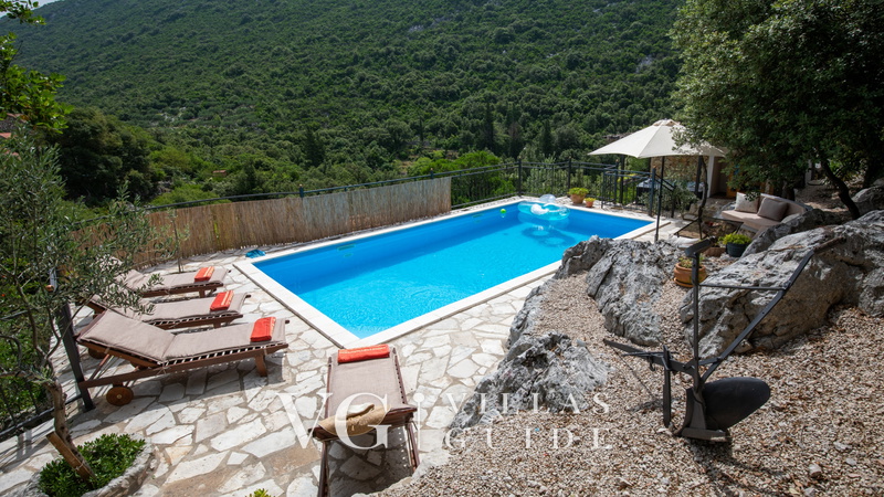 Rural house Janjić Piscina