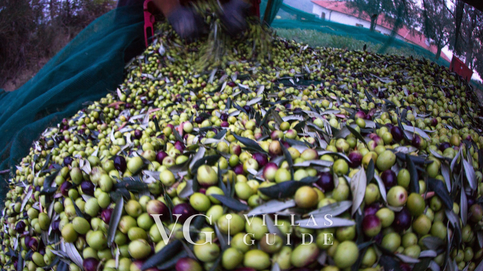 Casa Pove Additional content