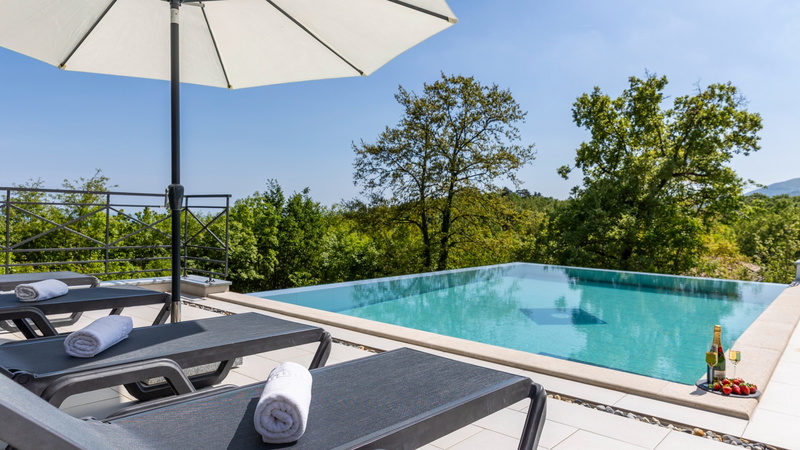 Villa Ruscus with pool Opatija Veprinac