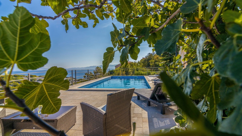 Villa Serenata pool &pet friendly Novi Vinodolski