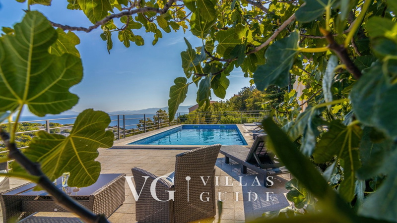 Villa Serenata pool &pet friendly Novi Vinodoski Bazen