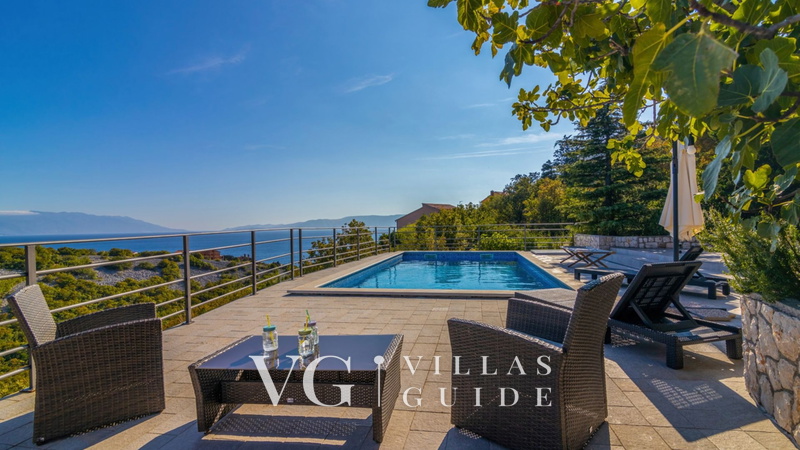 Villa Serenata pool &pet friendly Novi Vinodoski Bazen