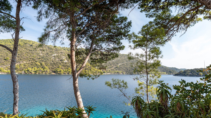 Villa Angela - Lastovo