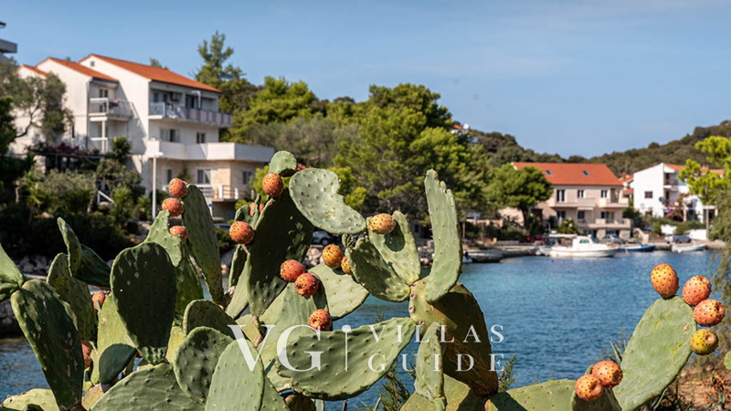 Villa Angela - Lastovo Microlocation