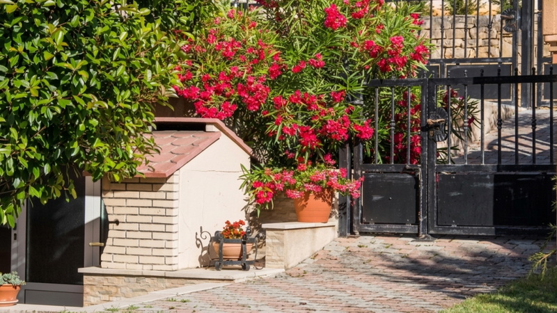 Apartment Oliva