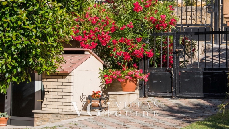 Apartment Oliva