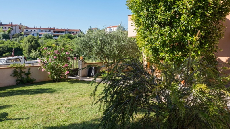 Apartment Oliva