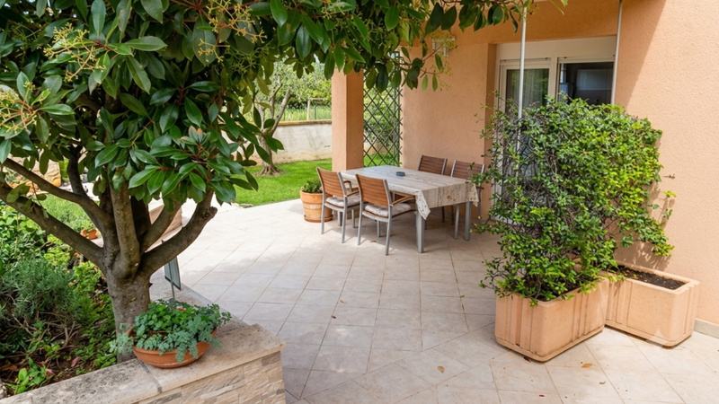 Apartment Oliva