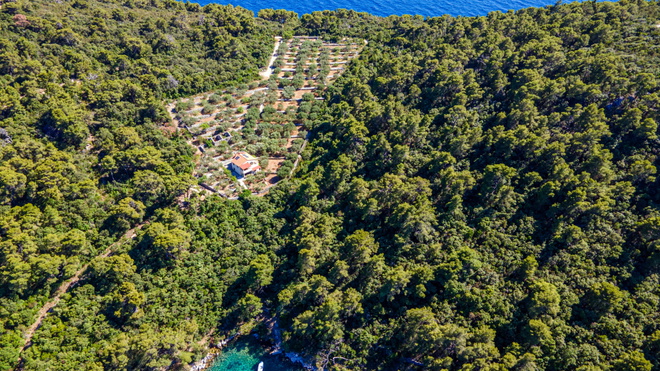 Ferienhaus Otok Korčula - Smokvica
