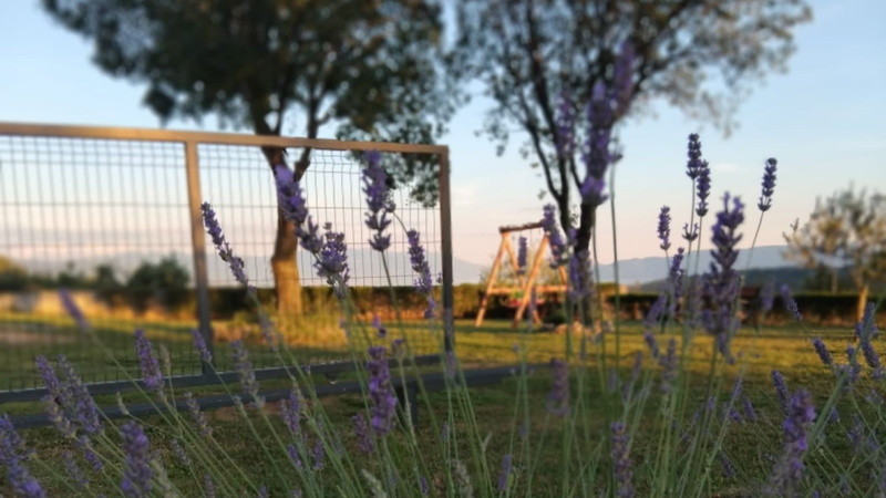 Villa stanzia natura Neve -Novi vinodolski,Bribir