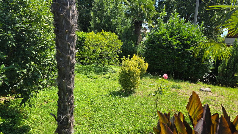 Apartman Goga Lovran