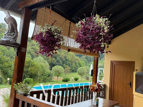 Villa Lasovic