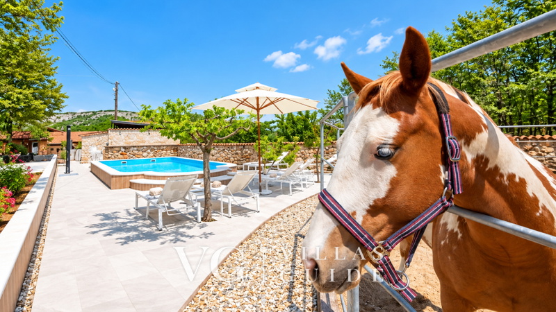 Holiday house Wild Serenity Dodatni sadržaji