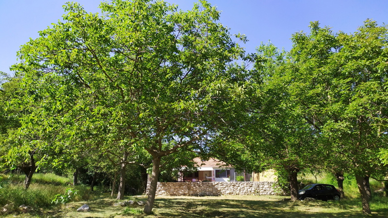 Holiday house Eden