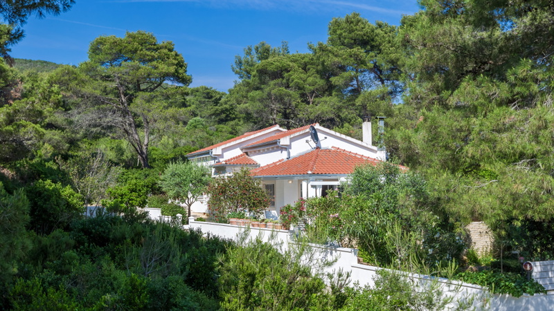 Vila Maja with pool Molat