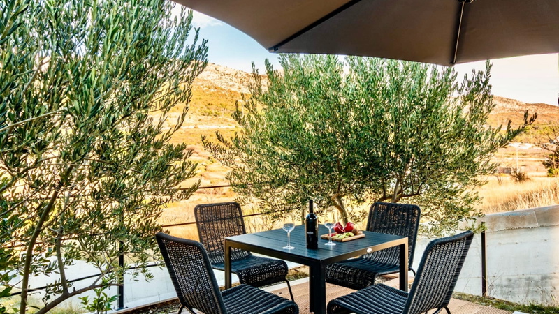 Villa Olive House