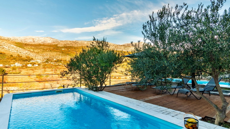 Villa Olive House
